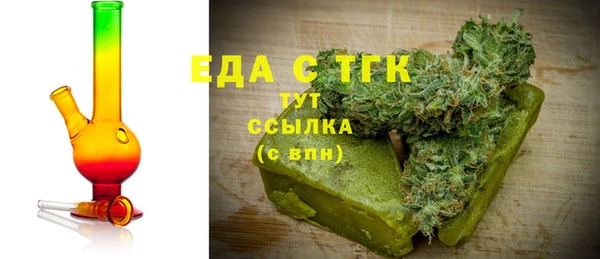 индика Пестово