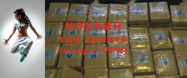 индика Пестово