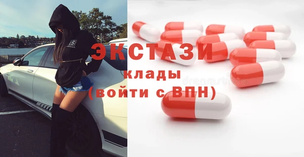 индика Пестово