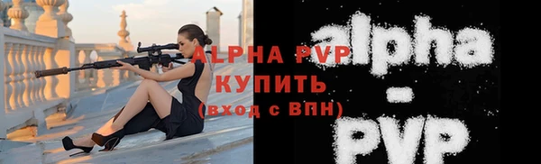 индика Пестово