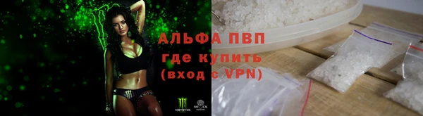 индика Пестово