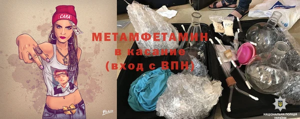 индика Пестово
