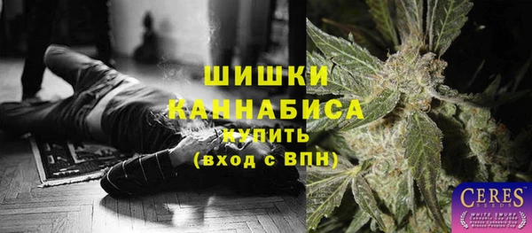 прущий лед Пересвет