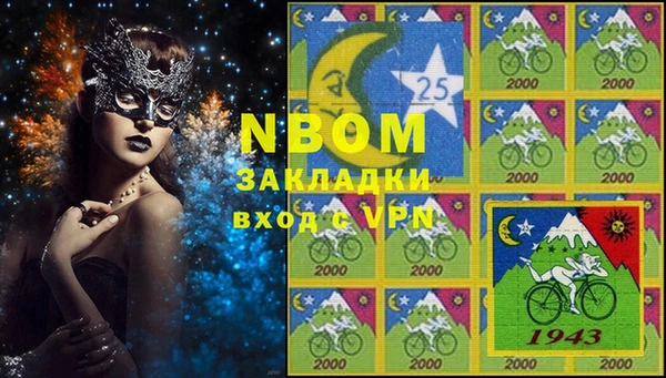 индика Пестово