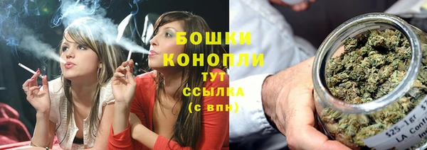 индика Пестово