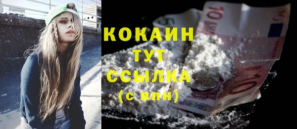 индика Пестово