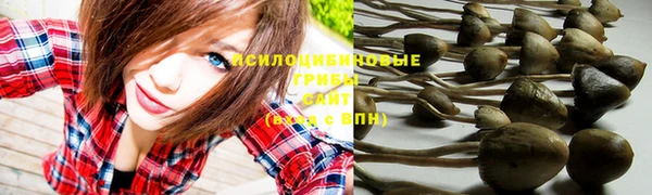 прущий лед Пересвет