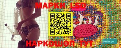 мдма Гай