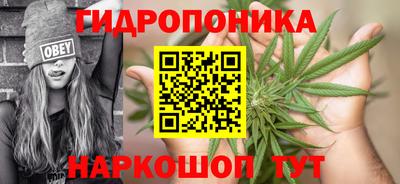 мдма Гай