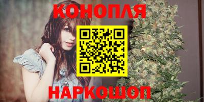 spice Гатчина