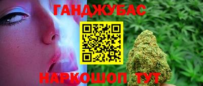 spice Гатчина