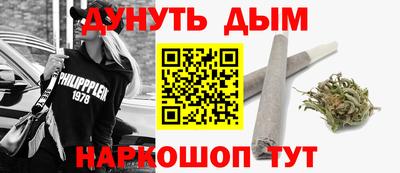 spice Гатчина