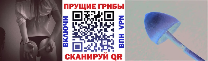 Псилоцибиновые грибы Magic Shrooms Карталы