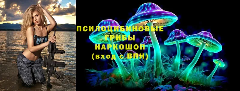 Псилоцибиновые грибы Psilocybe  дарк нет телеграм  Карталы  хочу  