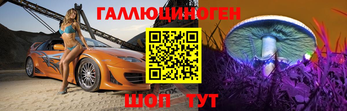 Псилоцибиновые грибы Magic Shrooms Карталы