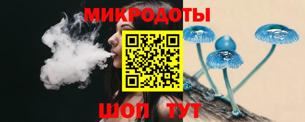 Карталы  Псилоцибиновые грибы GOLDEN TEACHER  Вход с VPN  Галлюциногенные грибы мицелий 